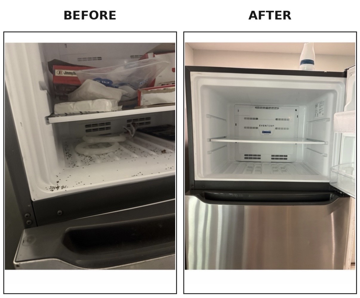 Freezer interior: before and after house cleaning by Kirsten